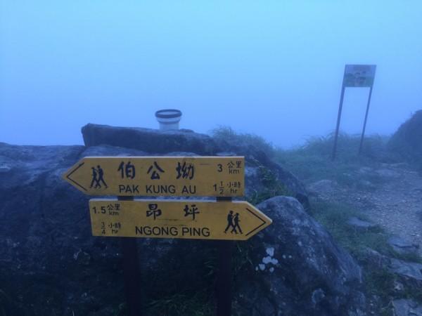 高诗岩:被下放的真相我跟谁都没说 不想个人问题被放大影响全队